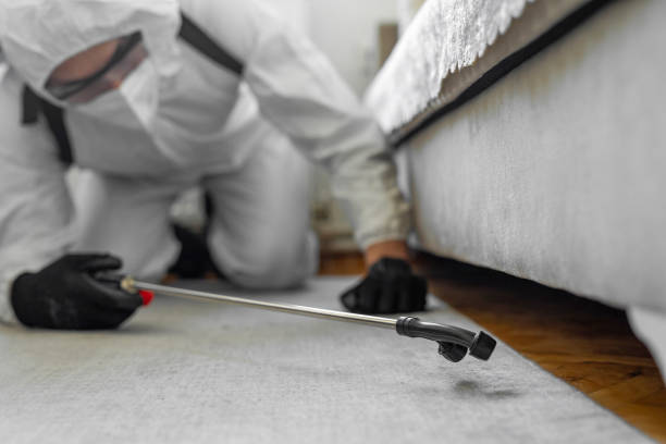 Professional Termite Control technician working in Spring Valley, NY