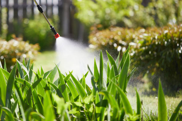 24/7 Emergency Termite Control experts in Spring Valley, NY