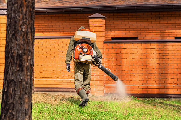 Trusted Cockroach Control service in Spring Valley, NY - Nex Pest Control